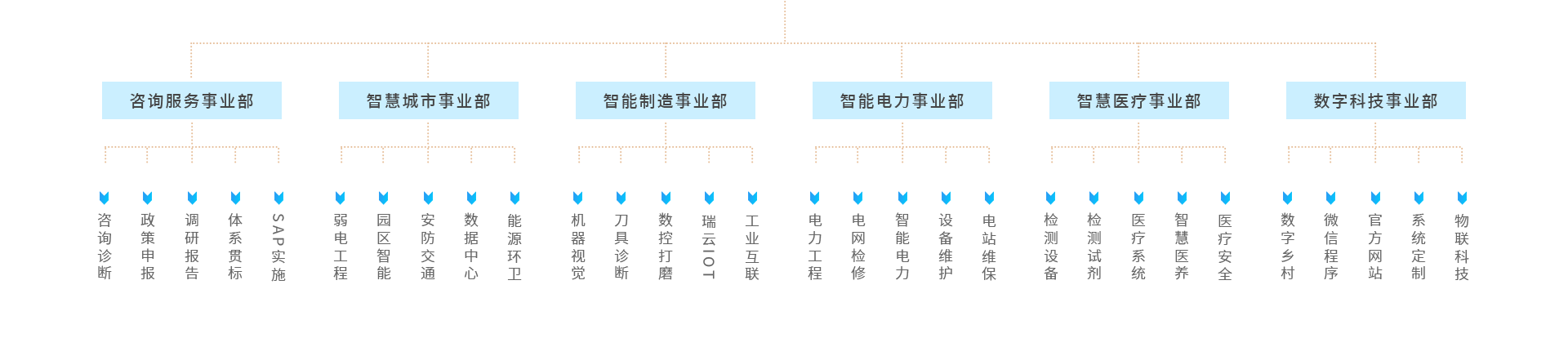 关于枪花